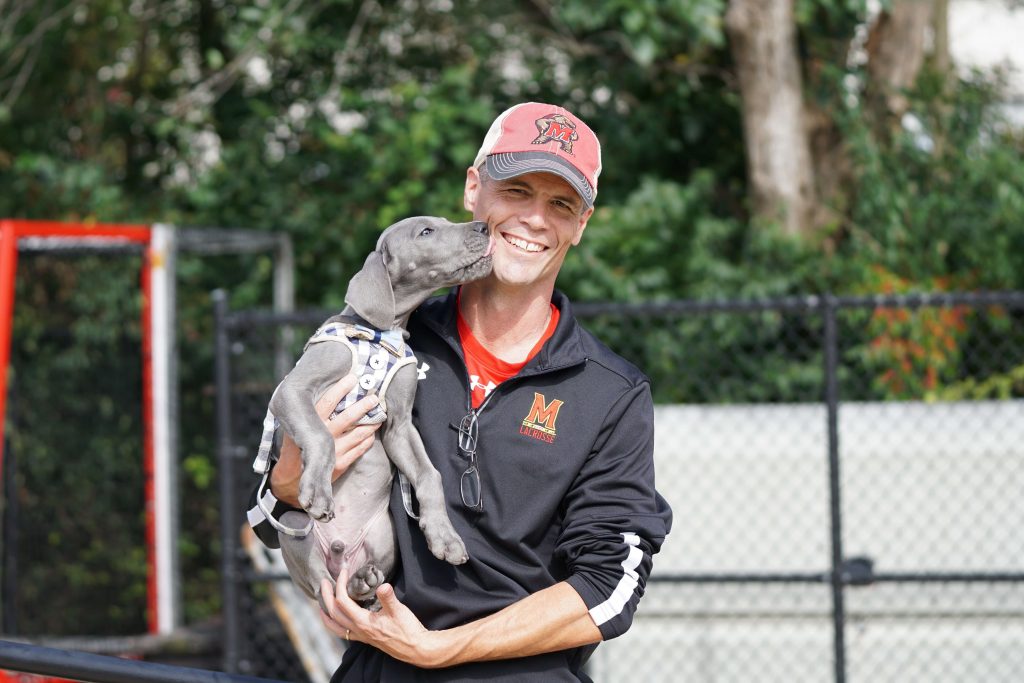 A Weim puppy showing affection